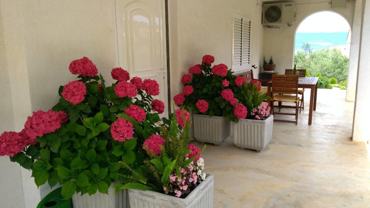 Megi1 Apartment Vrbnik Ngoại thất bức ảnh